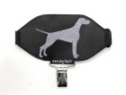 weimaraner copy